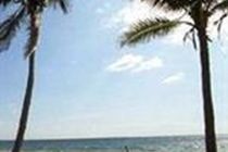 Hotel Alexander Palms Court Key West Esterno foto